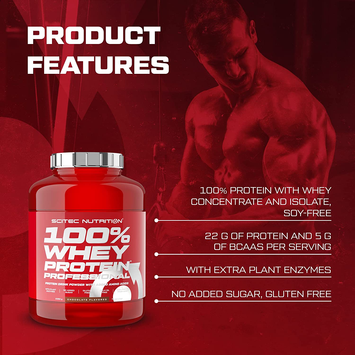 100% Whey Protein Professional 5Lbs Chocolate