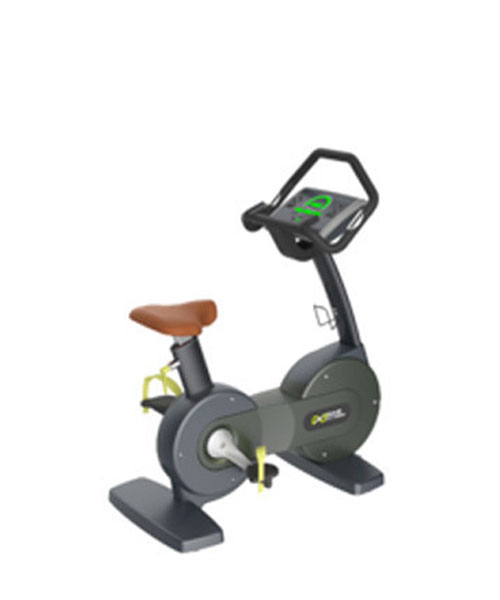 Upright Bike Commercial X9107