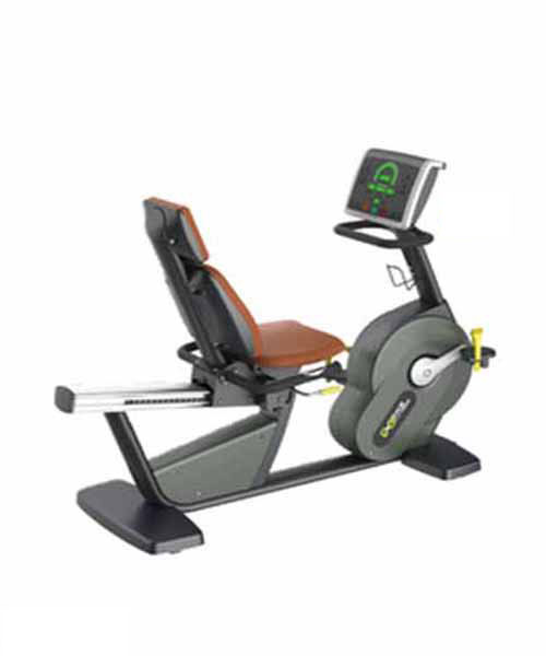 Recumbent Bike Commercial X9109