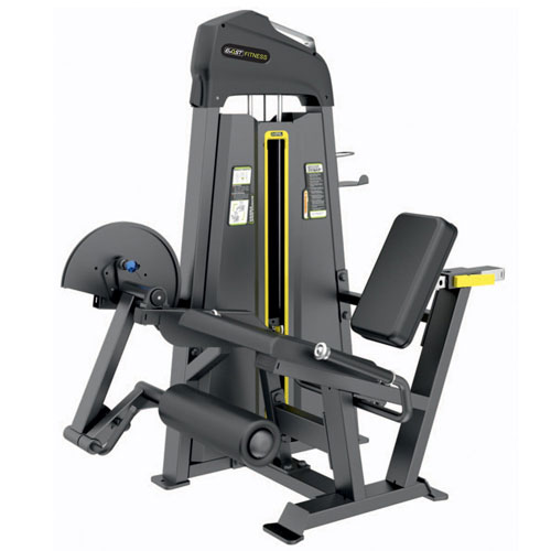 Leg Extension E3002