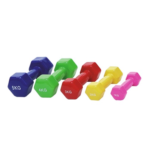 Vinyl Dumbell 5kg - 100408