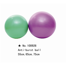 Anti Burst Ball 55cm