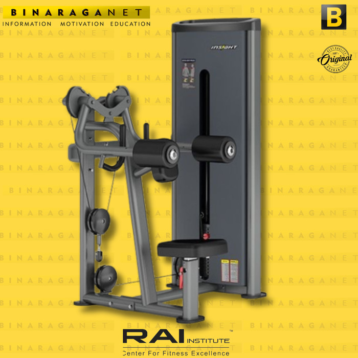 DA034 INSIGHT LATERAL RAISE MACHINE